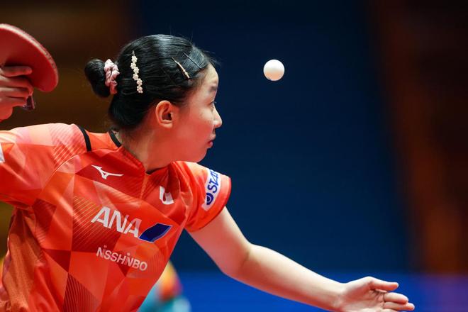 小小尝试会 小小尝试会