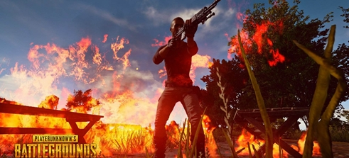 在网络上迅 在网络上迅